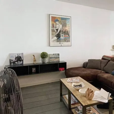 Sur Le Thiou, Cosy 2 Pers, En Vieille Apartment *